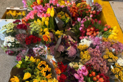 19_image